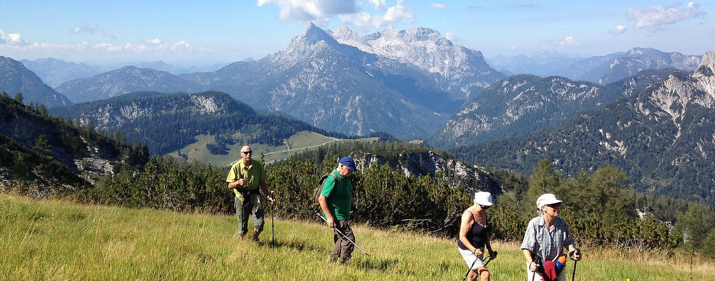 Training, excursions and tour - component 22